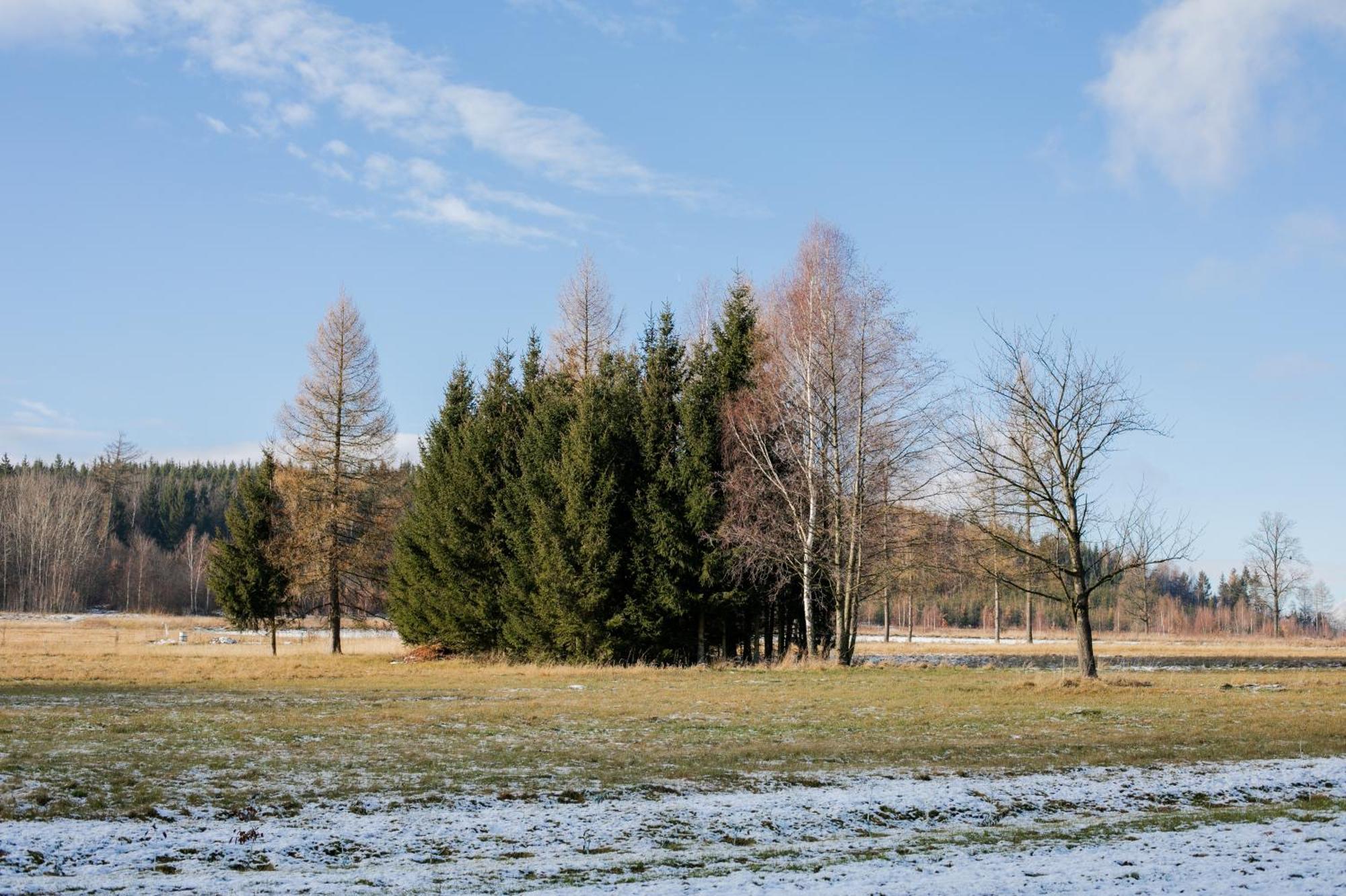 Alicjowka - Domek Marciszow エクステリア 写真